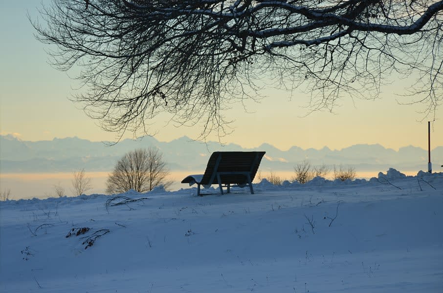 Ferienwohnung Alpenliebe - Höchenschwand & Alpensicht