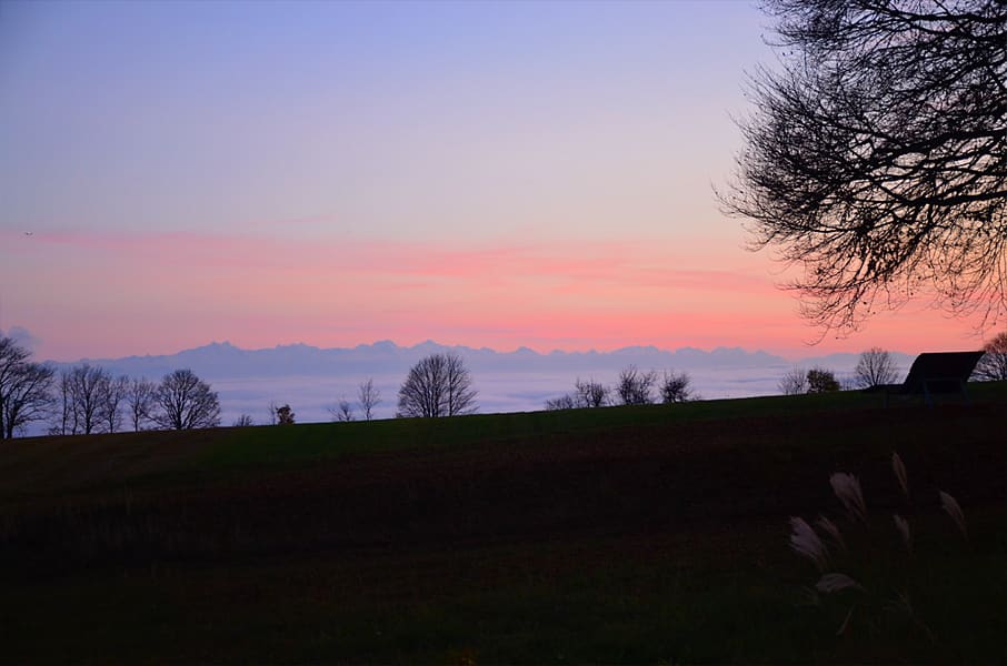 Ferienwohnung Alpenliebe - Höchenschwand & Alpensicht